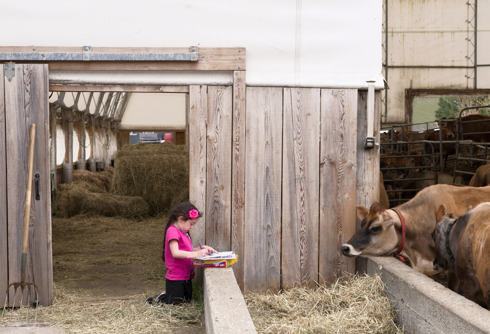 Cedar Mountain Farm