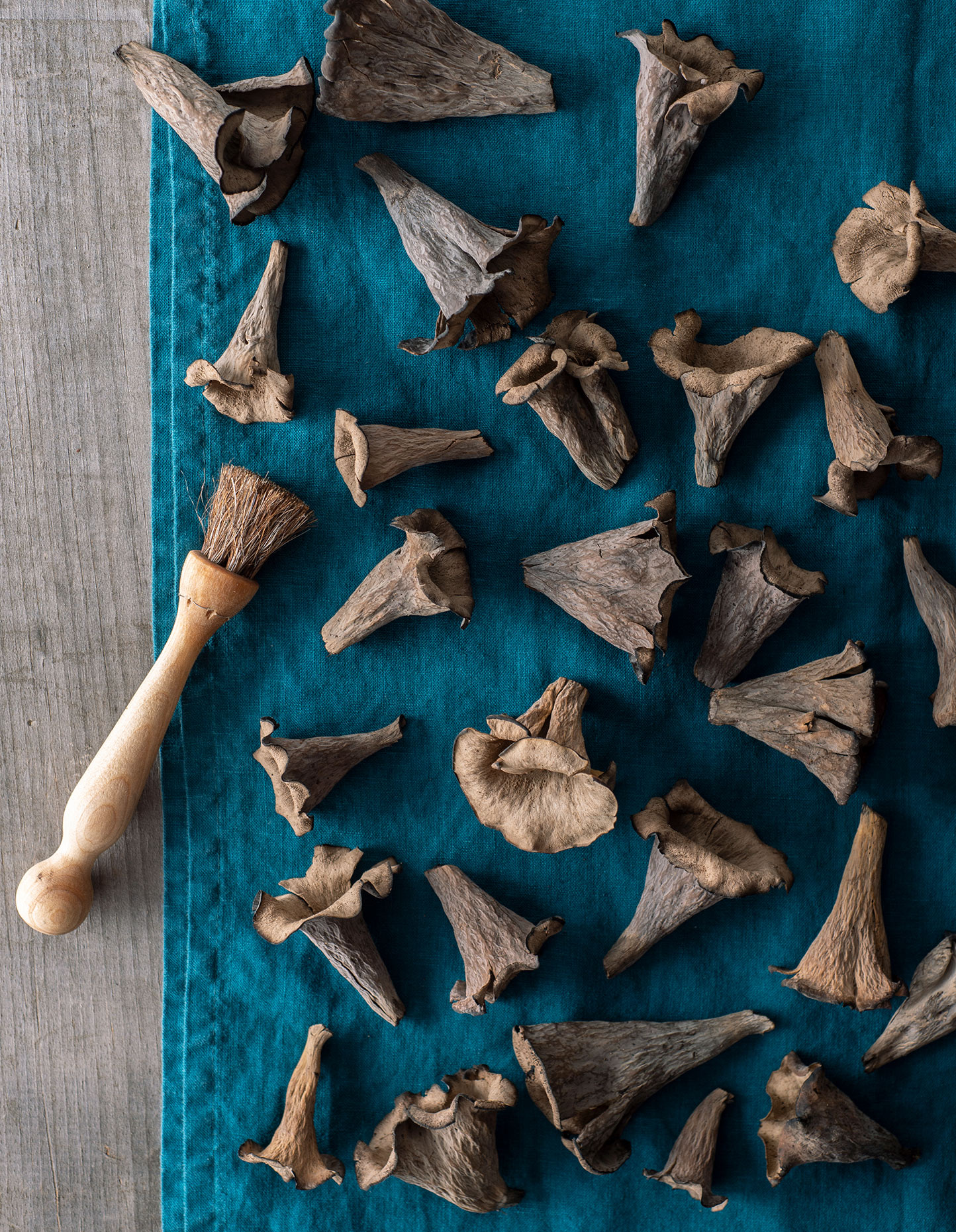 black-trumpets