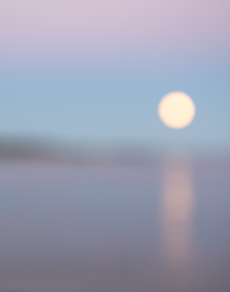 harvest moon