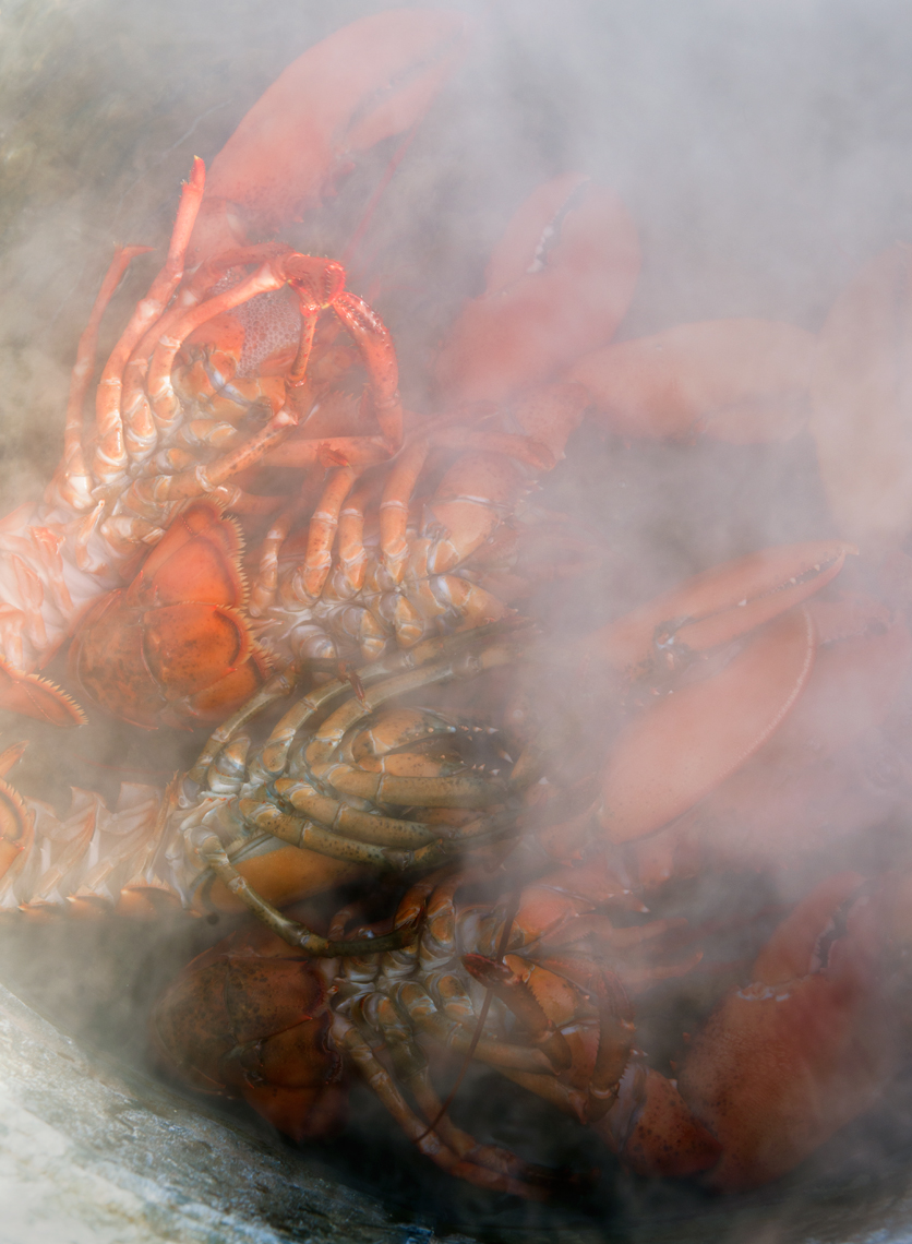 lobster bake