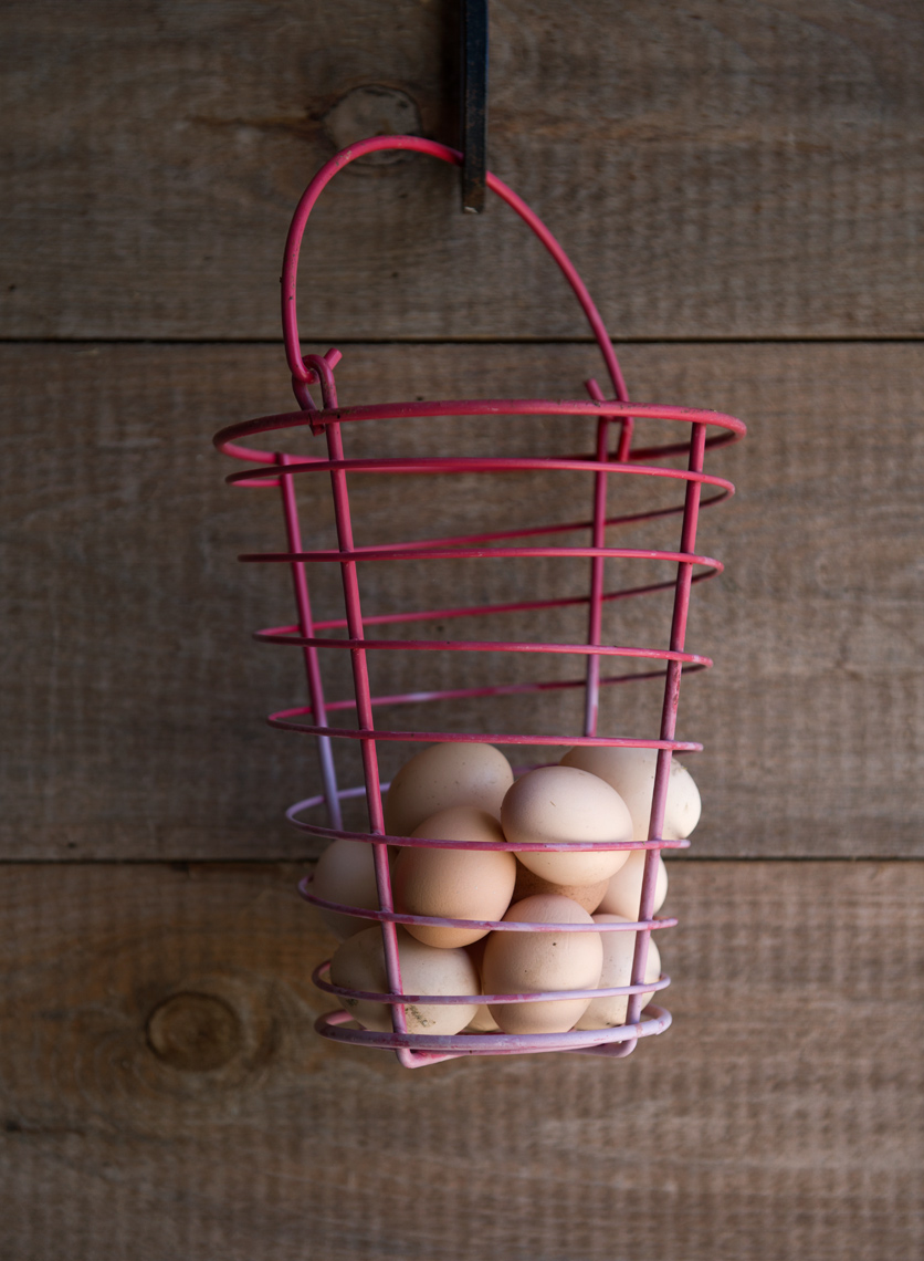 fresh eggs