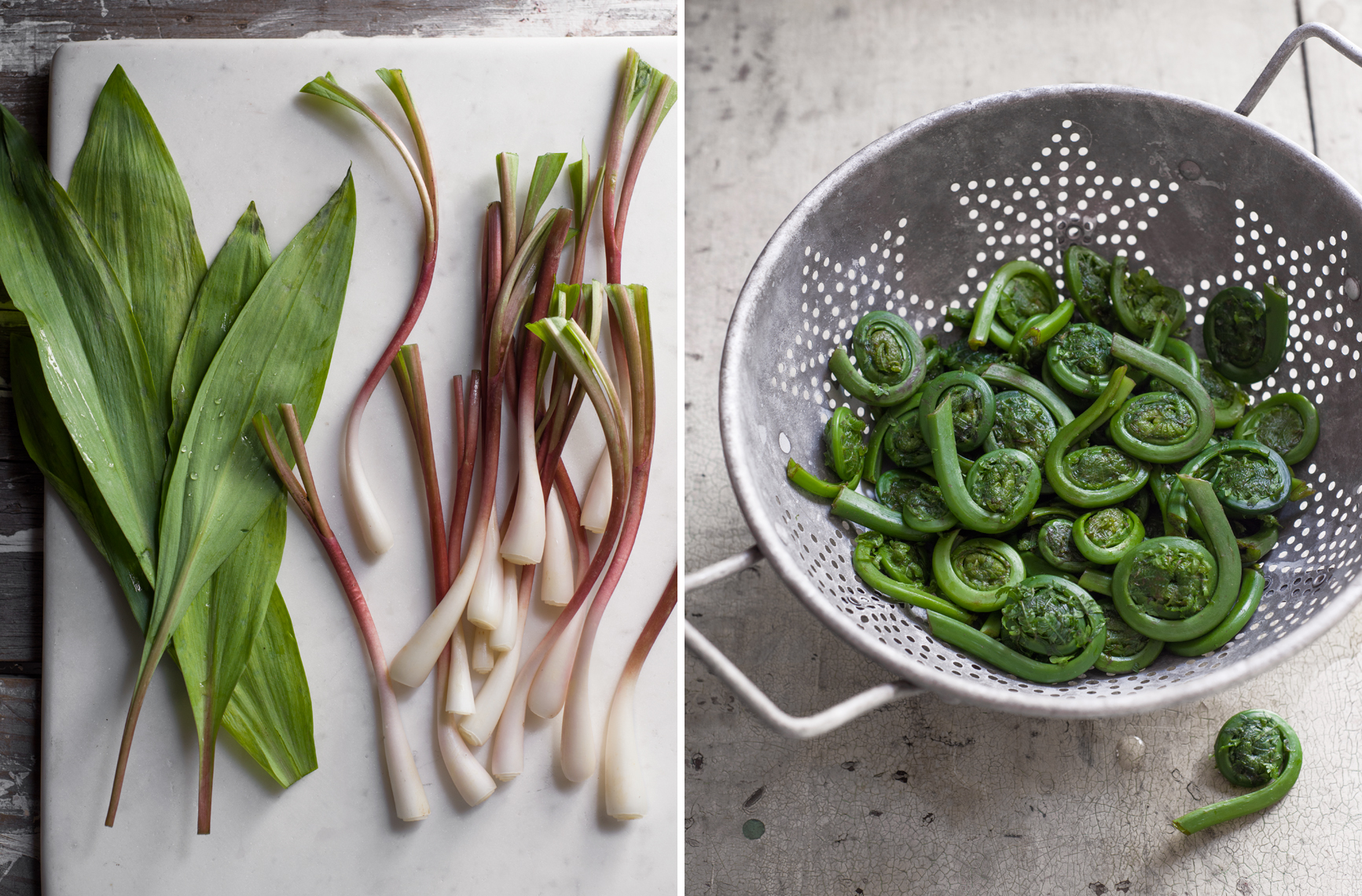 ramps and fiddleheads